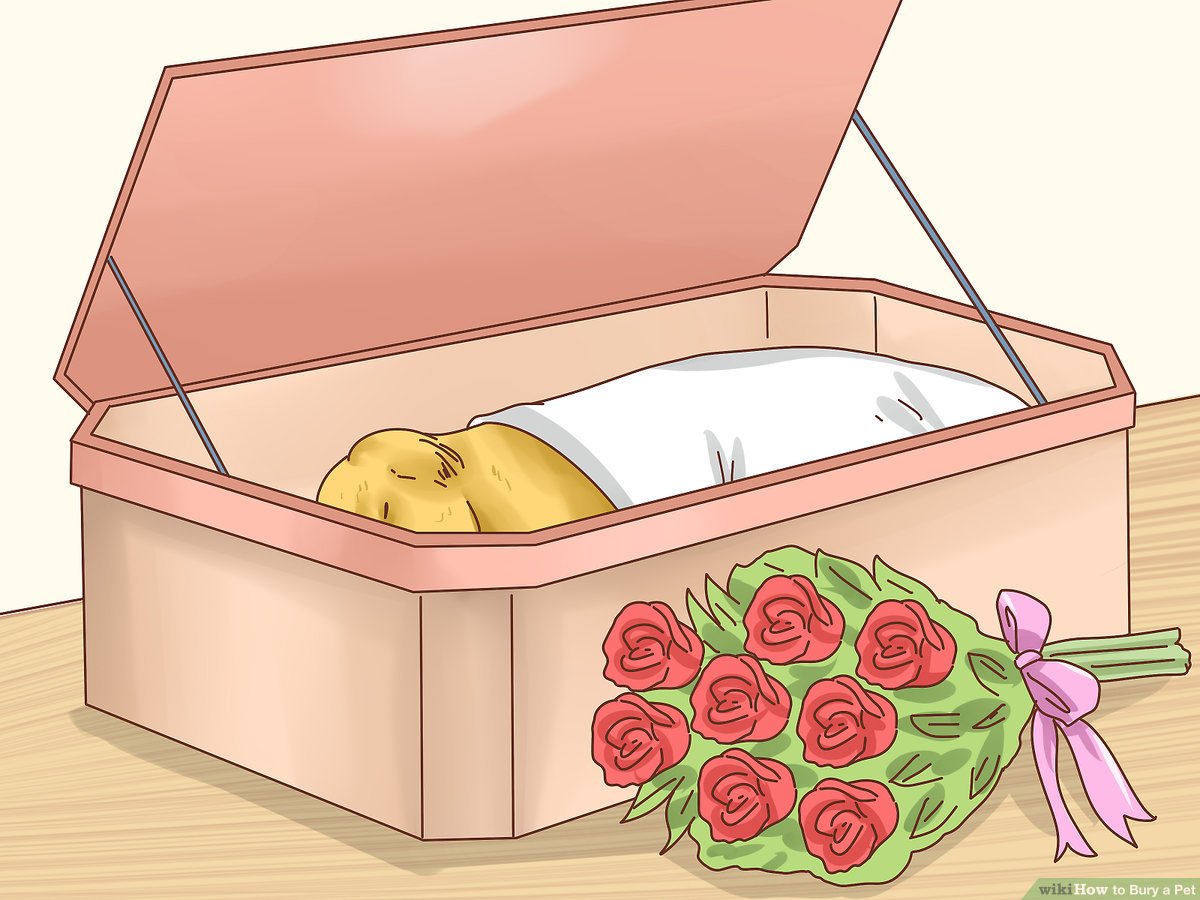 Essential Guide to How to Bury a Dog Properly in 2025: A Compassionate Approach