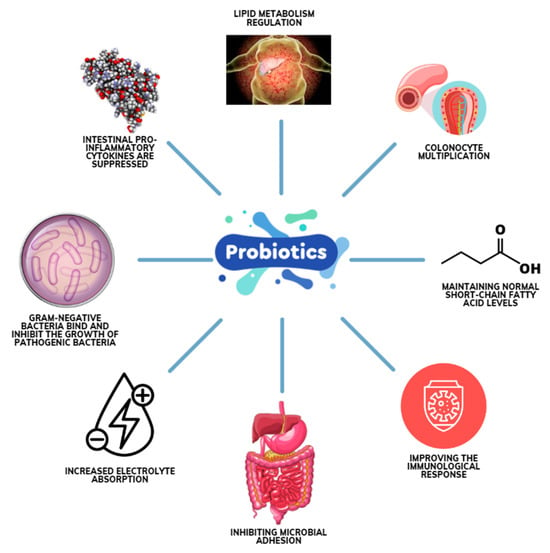 Discover How Long It Takes to Digest Water and Optimize Your Hydration in 2025