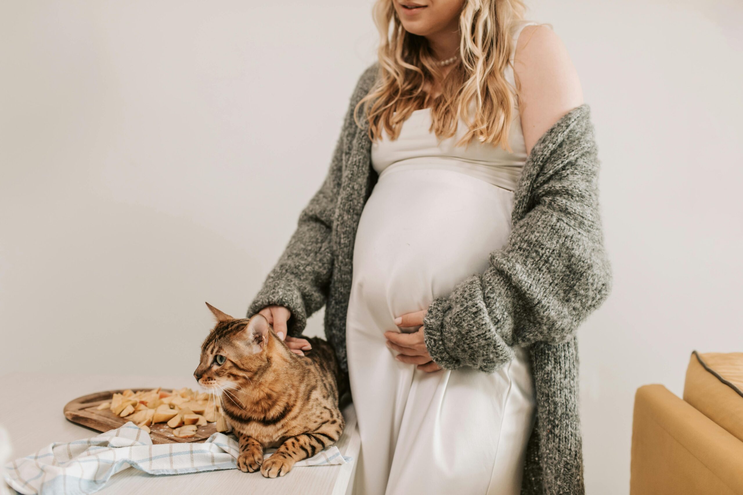 How to Effectively Know If a Cat is Pregnant: A Smart Guide for Cat Owners in 2025